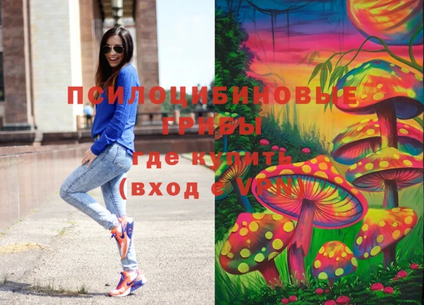 шишки Навашино