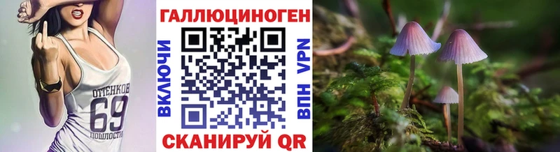 Галлюциногенные грибы MAGIC MUSHROOMS  Камызяк 