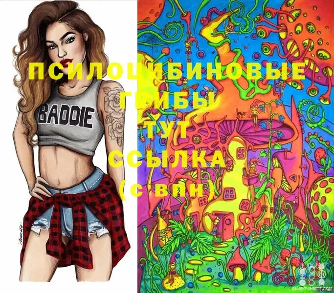 Псилоцибиновые грибы мухоморы  OMG ссылка  Камызяк 