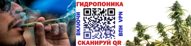 Конопля ГИДРОПОН  как найти   Камызяк 